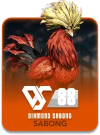Slotvip Sports DS88