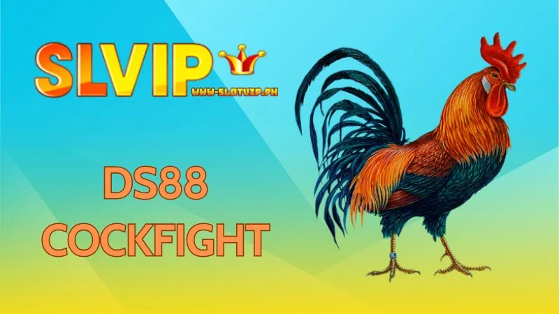 DS88 Cockfight - The Ultimate Cockfight Betting Paradise with Slotvip