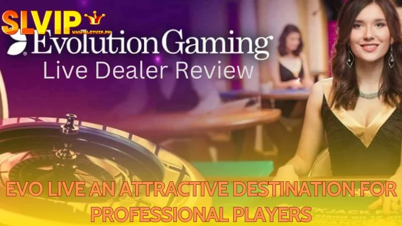 Professional players find EVO Live at Slotvip a worthwhile destination