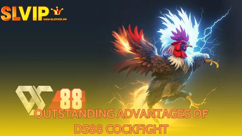 This leading platform provides many special benefits for online cockfighting