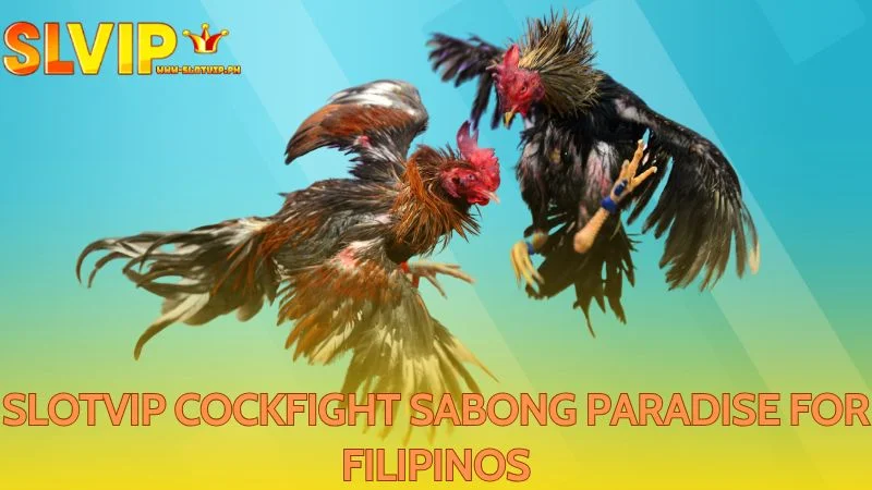 Filipino players are excited for cockfighting in the new Slotvip Cockfight