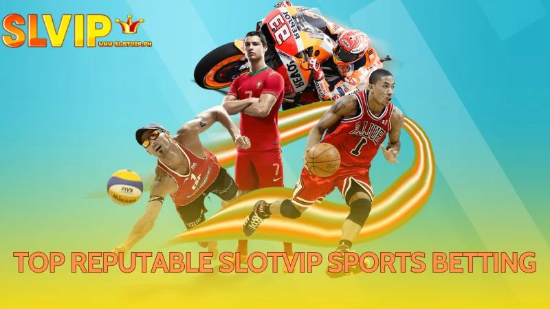 Players enjoy wagering on various exciting sports on this website