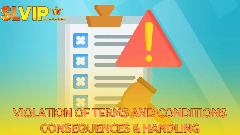 Consequences and Procedures for Addressing Violations of Terms and Conditions